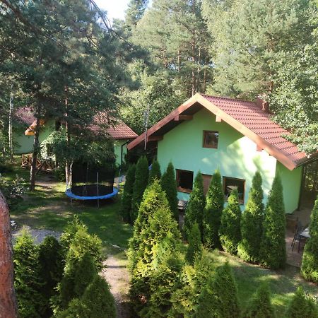 Niegowa Niezapominajka-Juraヴィラ エクステリア 写真