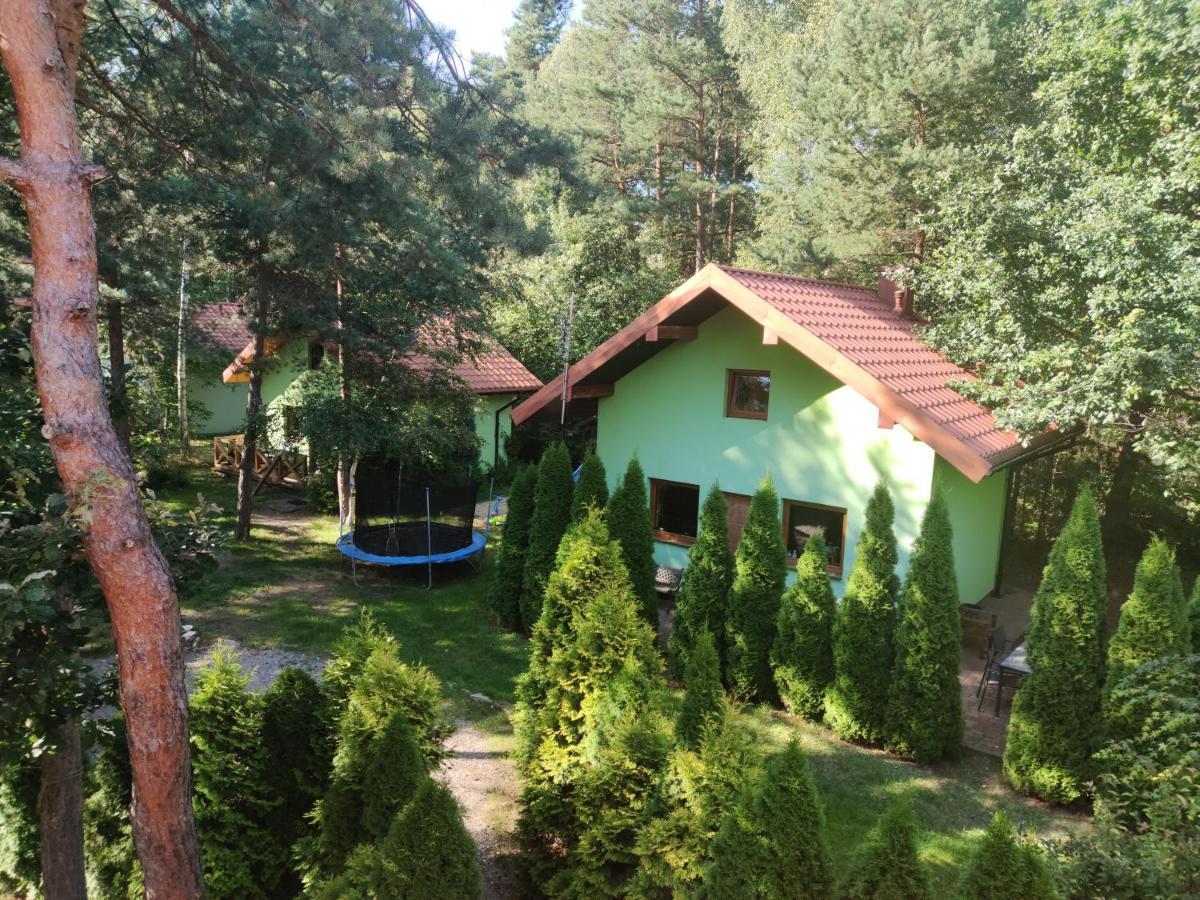 Niegowa Niezapominajka-Juraヴィラ エクステリア 写真